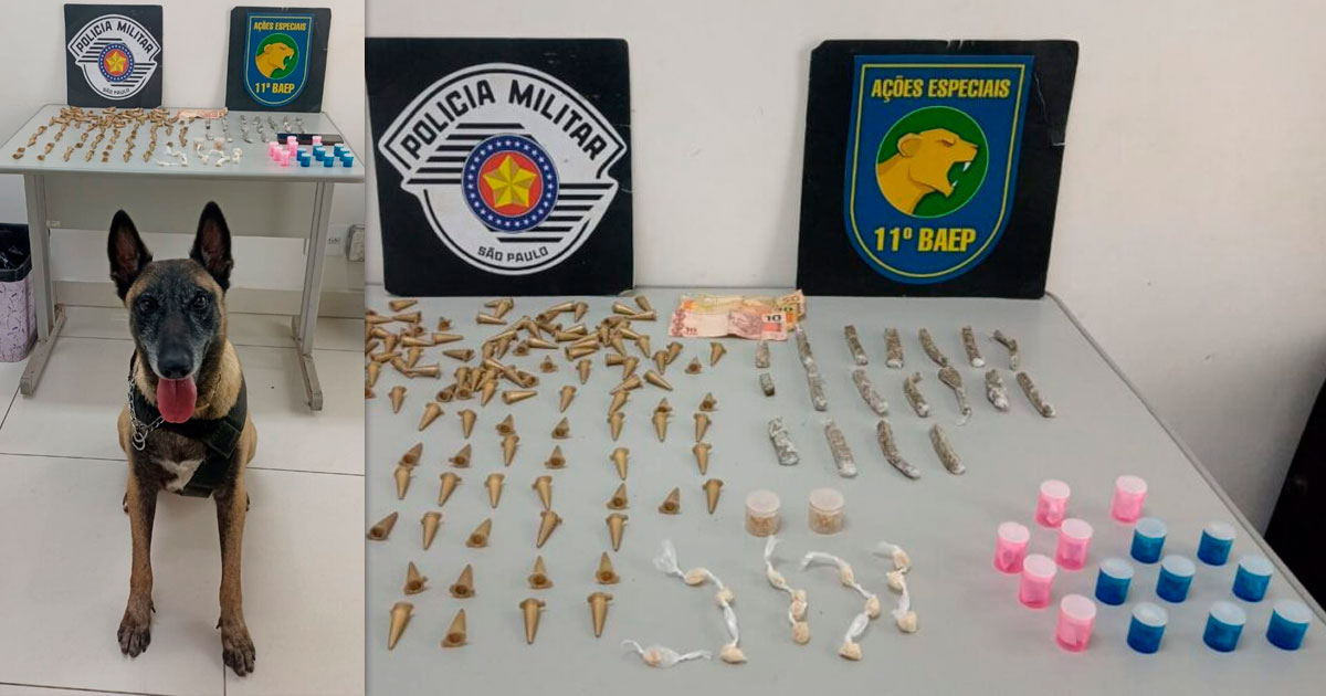 Araraquara termina com apreensão surpreendente de drogas graças à astúcia de Atena (Foto: Divulgação/BAEP)